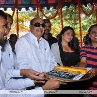 Namitha New Movie Opening - Pictures | Picture 122384